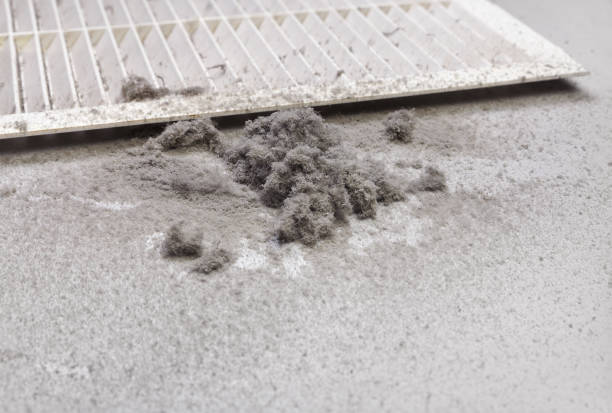 Best Ventilation System Cleaning in , MN